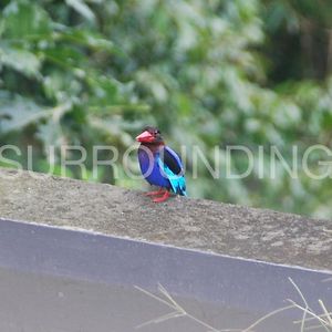 Rumah Lereng Bandung