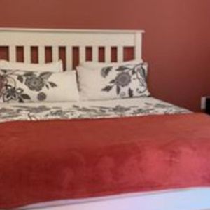 Basic King Room