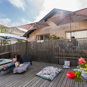 Ted Surf House