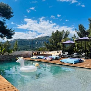 Villa Holistika : Bed And Breakfast / Pool / Air Conditioning/ Mont Faron Toulon
