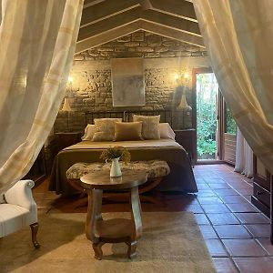 Suite con Cama King
