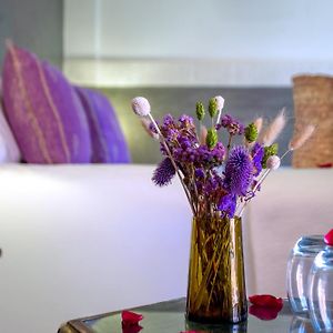Junior Suite Terrace
