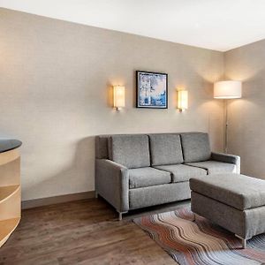 One-Bedroom King Suite Sofa Bed Non-Smoking