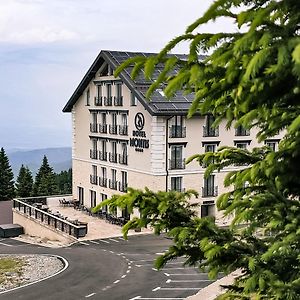 Montis Hotel & Spa
