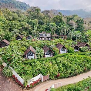 Oxygen Jungle Villas & Spa (Adults Only)
