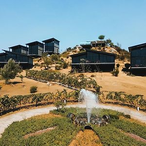Origen75 Loft - Villas - Skypool - Vinedo, Valle De Guadalupe