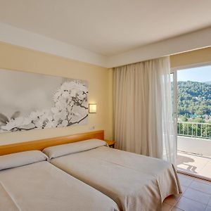 Habitación Superior