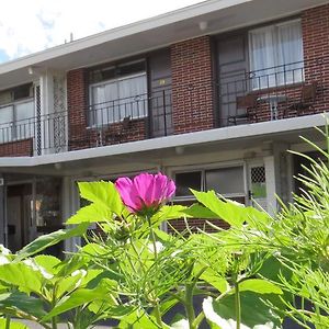 Kuirau Park Motor Lodge- Thermal Mineral Pool