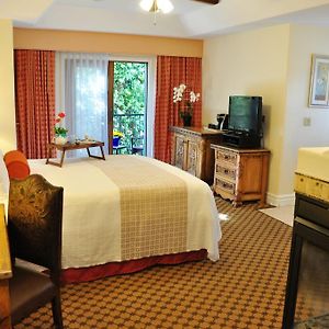 Deluxe King Room Two Person Soaking Tub
