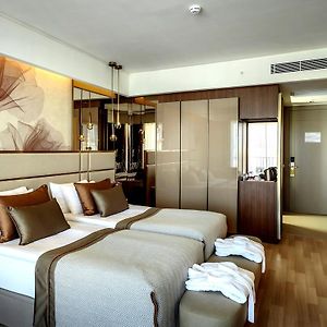 Chambre Standarde