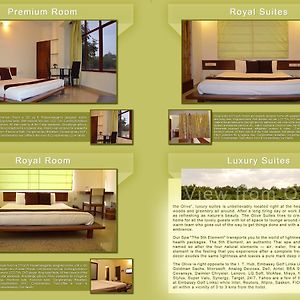 The Olive Suites