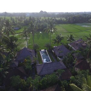 Two-Bedroom Villa Ricefield View