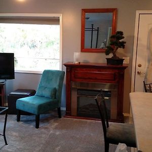 Superior Double or Twin Room Mountain View