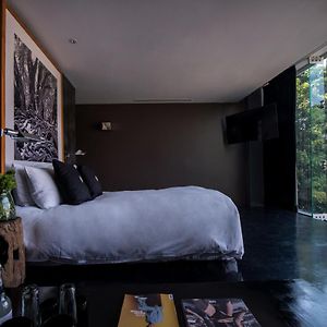 Urban King Suite