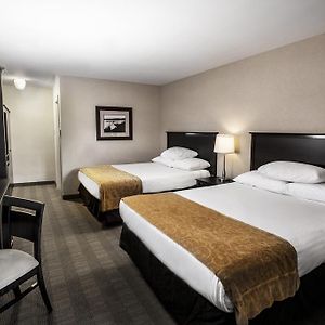 Traditional Two Queen Room Only
