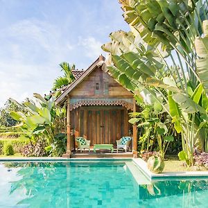 Hati Padi Cottages