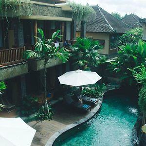 Deluxe Twin Room Pool View
