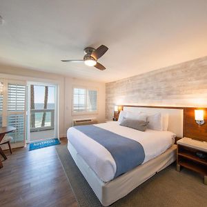 Deluxe King Room Ocean View