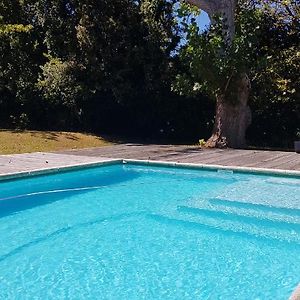 Bloom Guest House