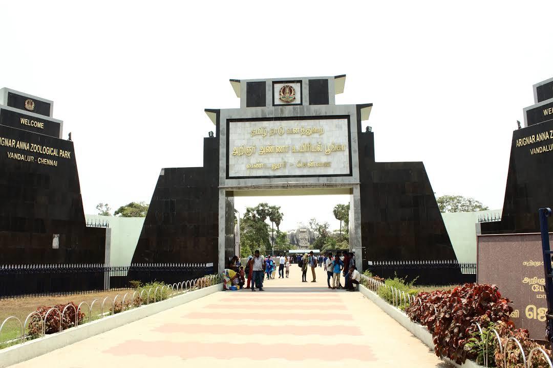 Arignar Anna Zoological Park