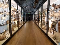 Natural History Museum at Tring