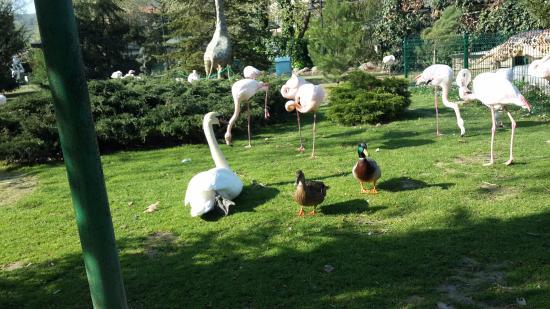 Çanakçılar Hayvanat Bahçesi ve Botanik Park