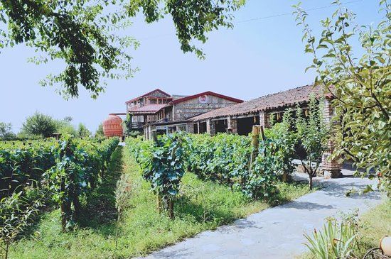 Qvevri and Qvevri Wine Museum