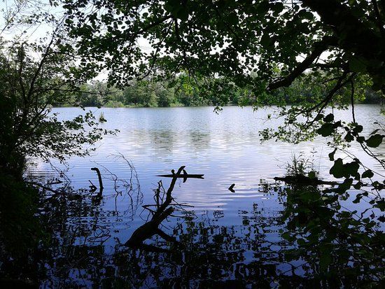 Palude Brabbia Oasi LIPU