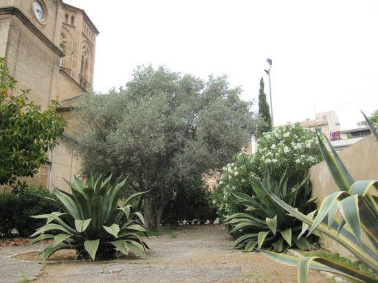 La Inmaculada Concepción