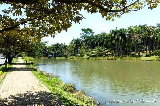 Parque de la Babilla