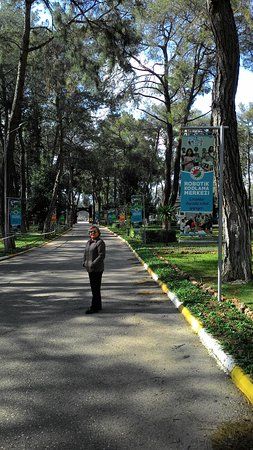 Kepez Belediyesi Kent Ormani