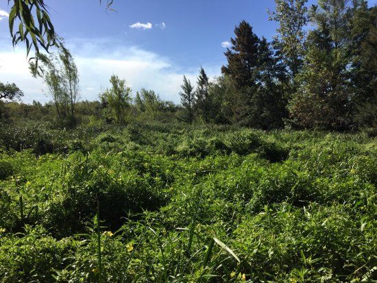 Delta Terra Natural Reserve