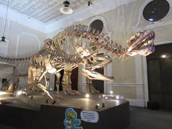 Museo de Ciencias Naturales