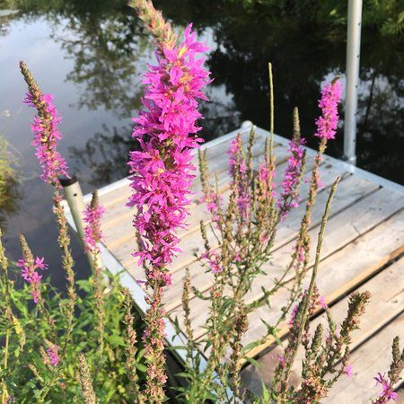 Perth Wildlife Reserve