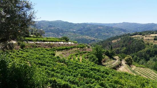 Eca De Queiroz Foundation