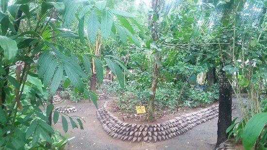 Luck Uyana Herbal Medecines Garden