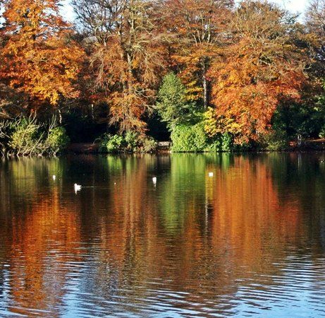 Hartsholme Country Park