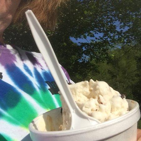 Whip N Dip Ice Cream