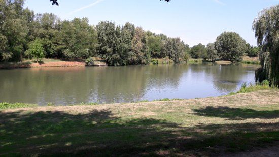 Réserve naturelle régionale de l'Eiblen et l'Illfeld