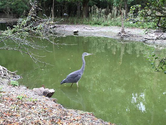 Pôle-Nature du Marais aux Oiseaux