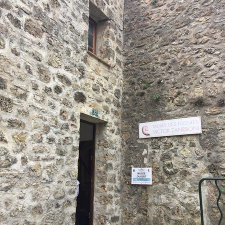 Musee Municipal des fossiles V.Zaneboni