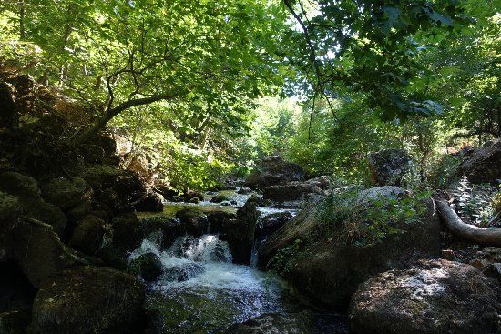 Gorge of Vouraikos