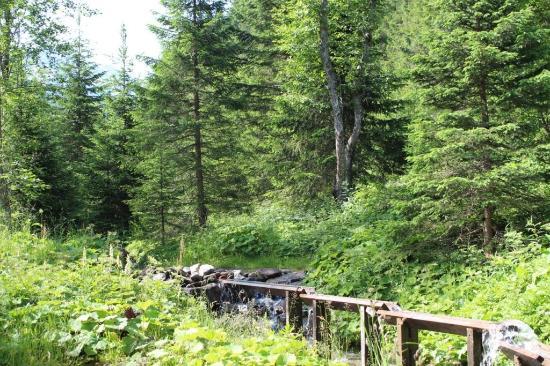 Erlebniswelt Tauerngold