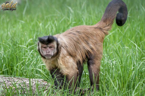 Parque Zoológico de Oradea