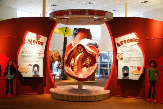 Halle Heart Children's Museum