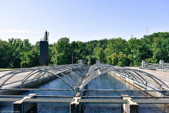 Shepherd of the Hills Fish Hatchery