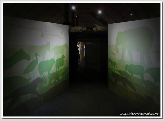 Musee d'Histoire Naturelle