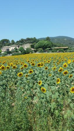 Lourmarin