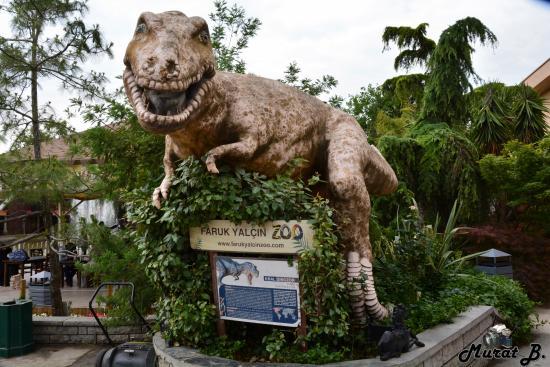 Faruk Yalcin Zoo