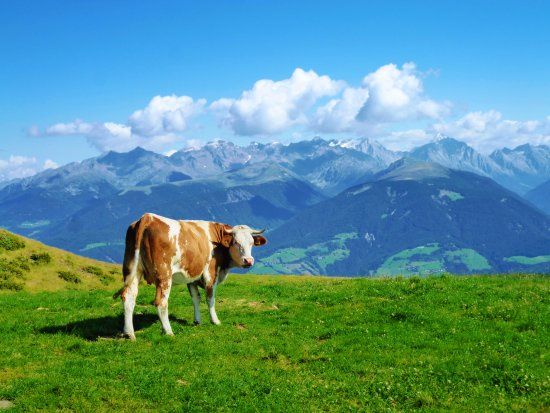 Kronplatz Ski Fields